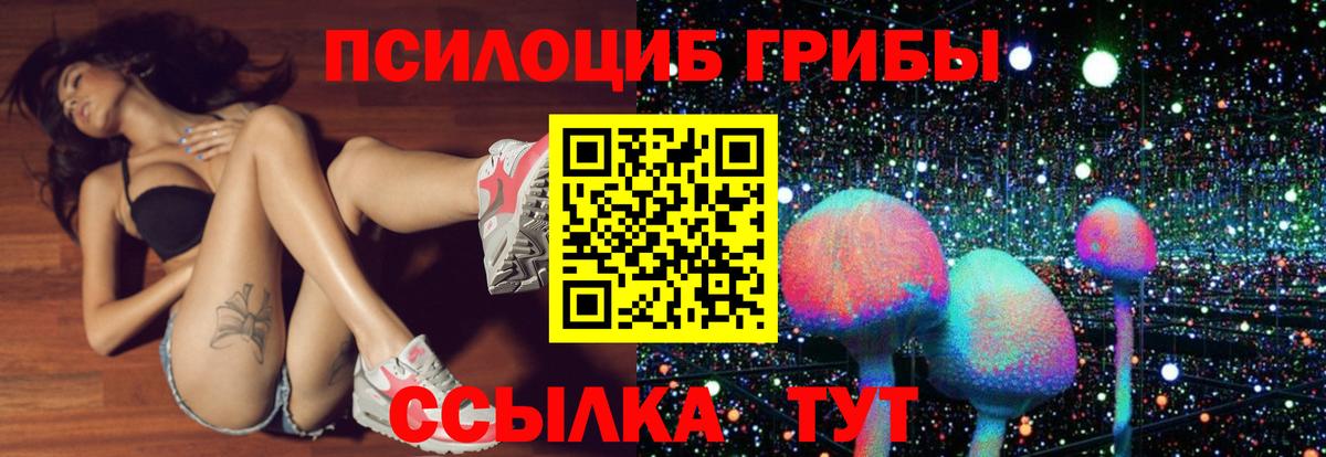 Камышин  ЭКСТАЗИ  Мефедрон кристаллы  Вход с VPN  Гашиш  Канабис  Cocaine 