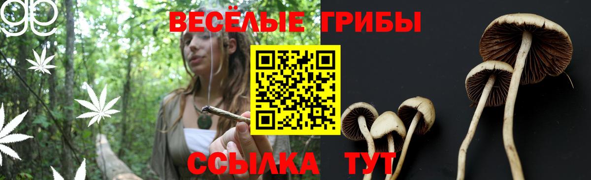 Камышин  Псилоцибиновые грибы мицелий  Вход с VPN 